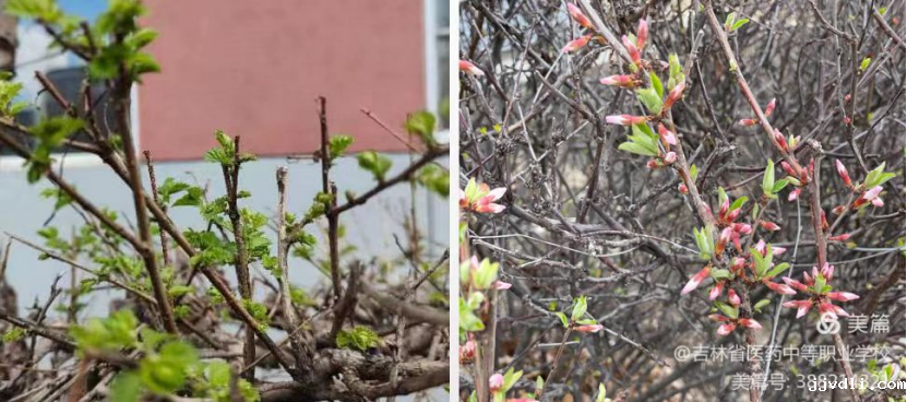 626dfcb8db2c7.png image.png