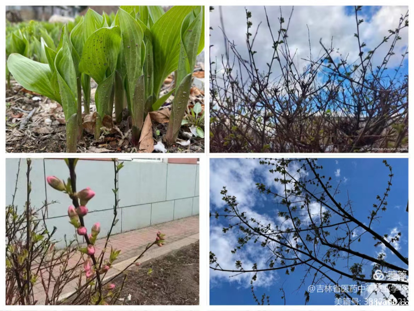 626dfcd5d3e3c.png image.png